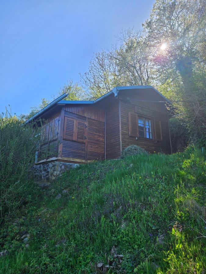 Elbblick Villa Storkau Exterior photo